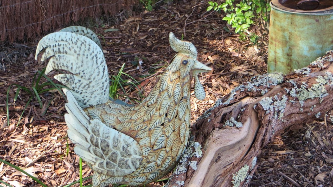 Photo of Outdoor in Yellingbo