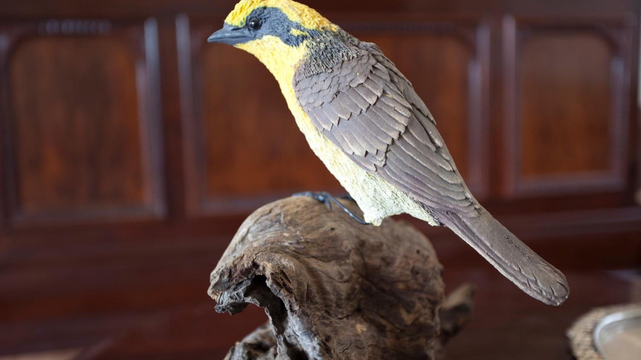 Photo of Others in Yellingbo