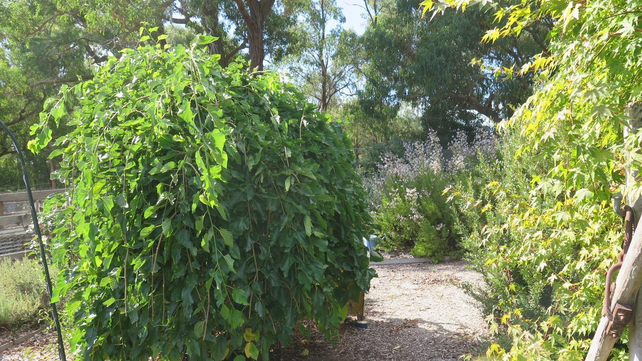 Photo of Outdoor in Yellingbo