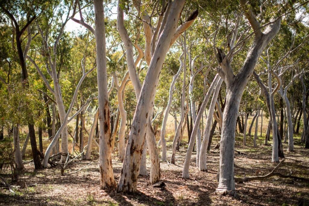 Photo of Outdoor in Palmers Oaky