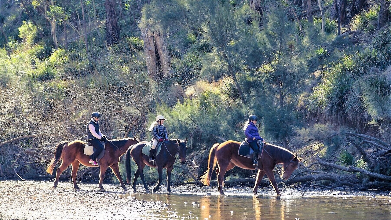 Photo of Others in Palmers Oaky