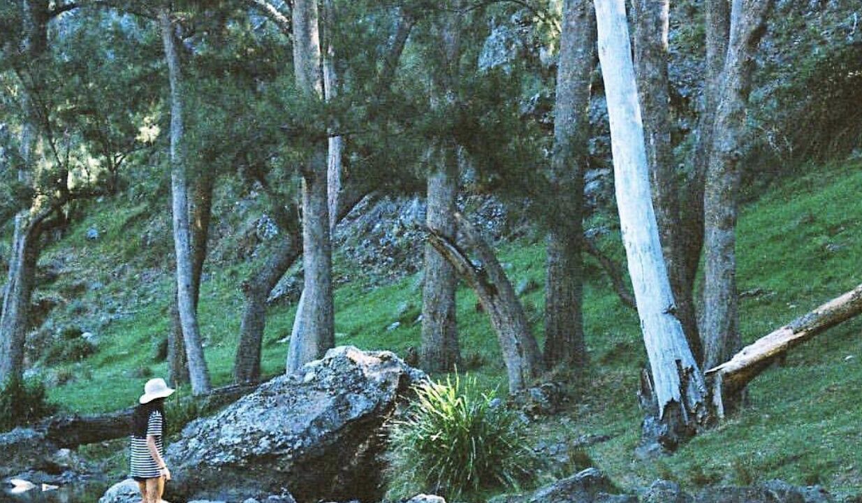 Photo of Outdoor in Palmers Oaky