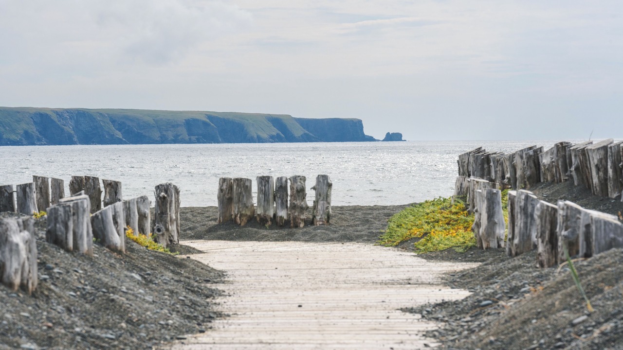 Photo of Others in Trepassey