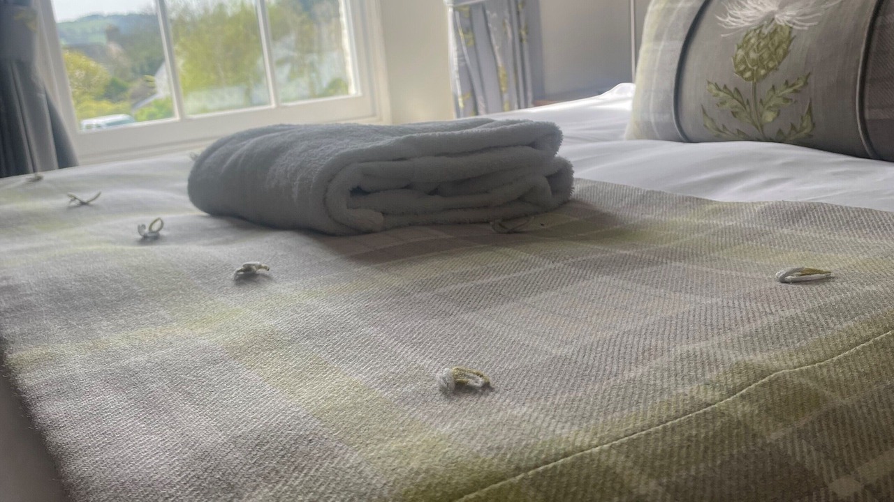 Photo of Bedroom in Glasbury