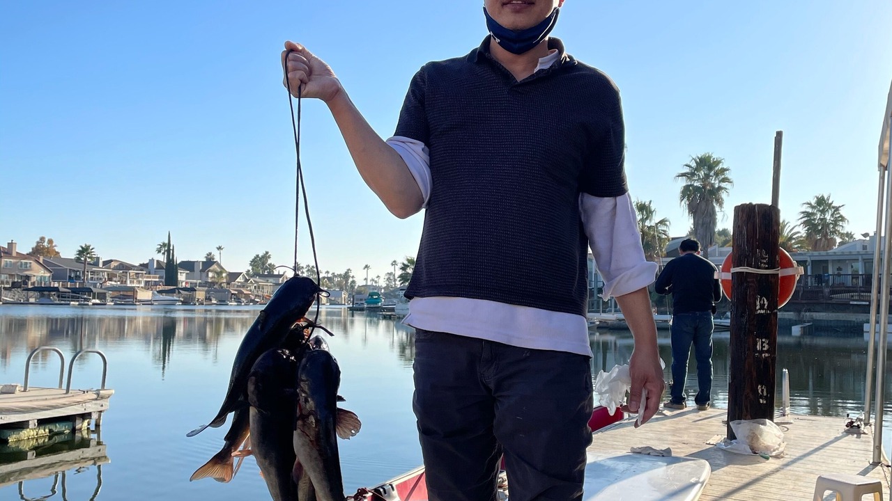 Photo of Others in Discovery Bay
