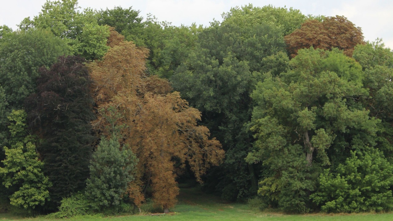 Photo of Others in Blet