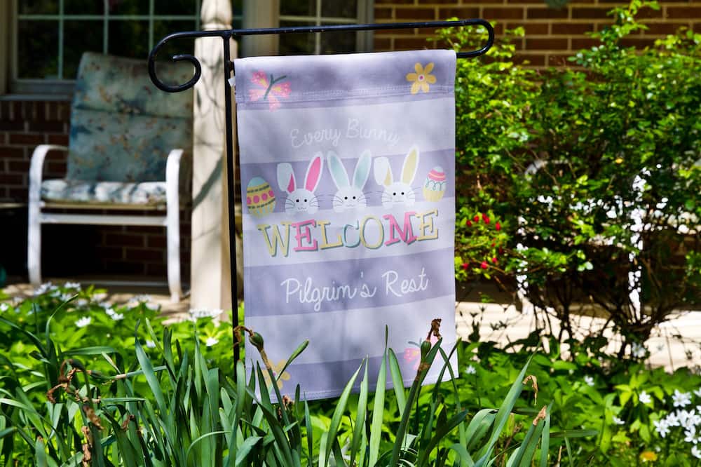 Photo of Outdoor in Roxborough