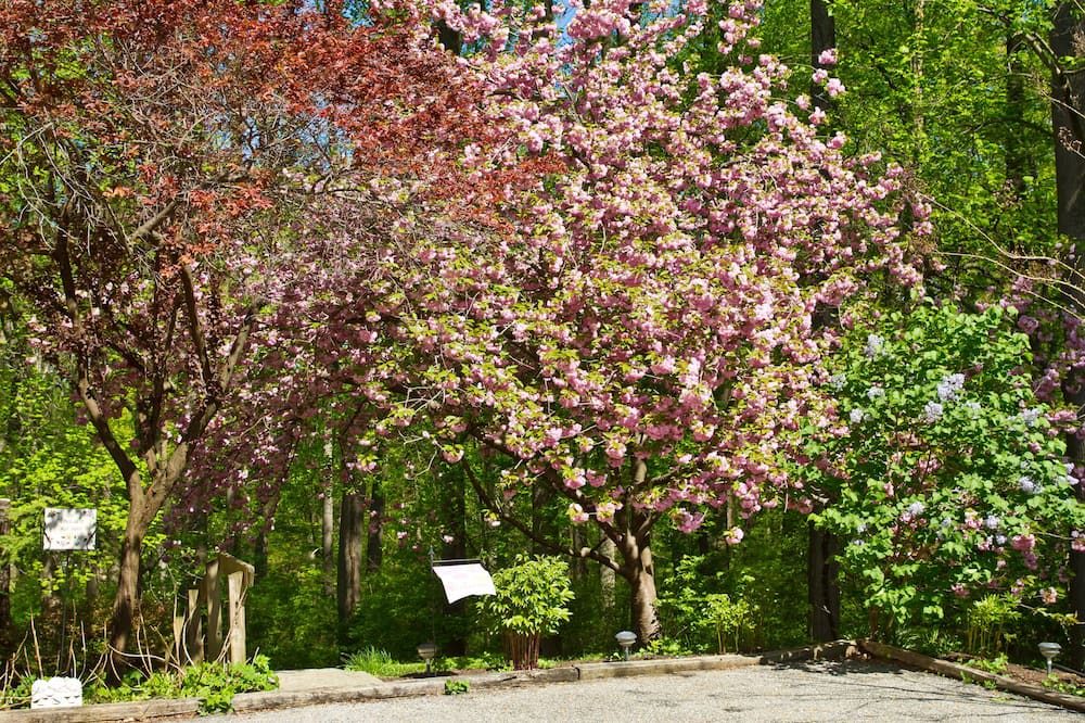 Photo of Outdoor in Roxborough
