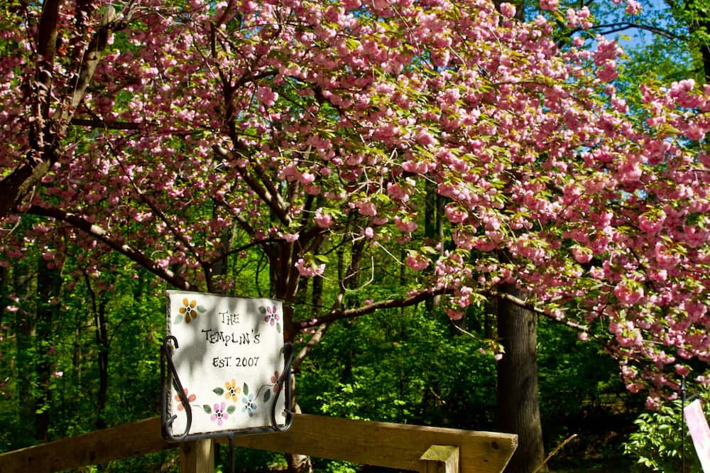 Photo of Outdoor in Roxborough