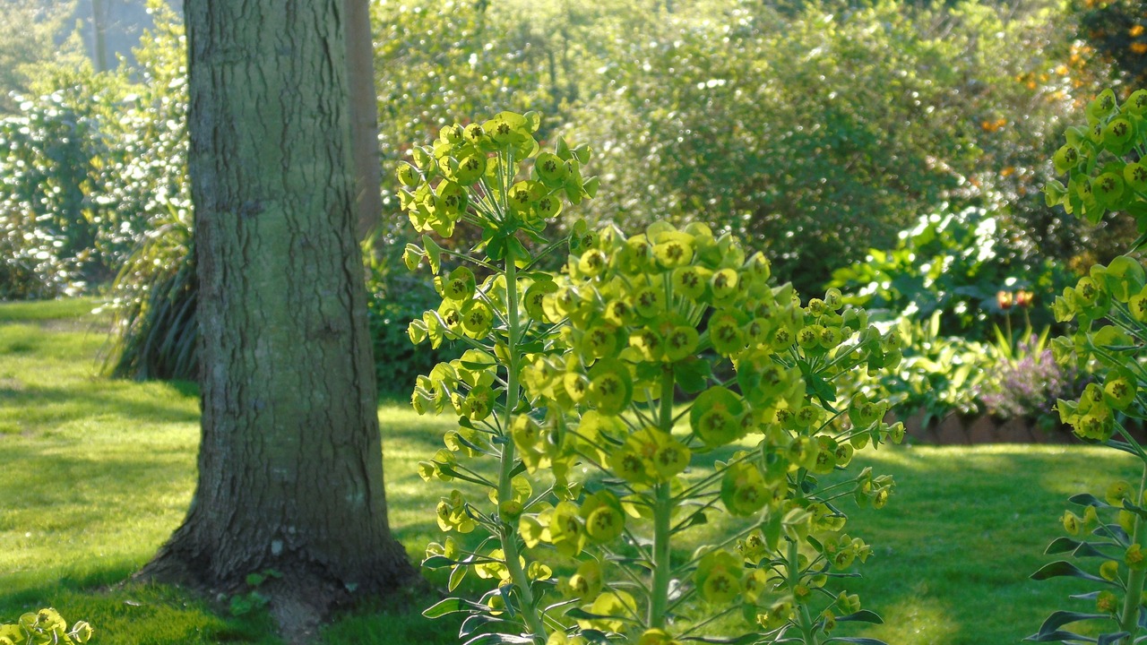 Photo of Outdoor in Westhampnett
