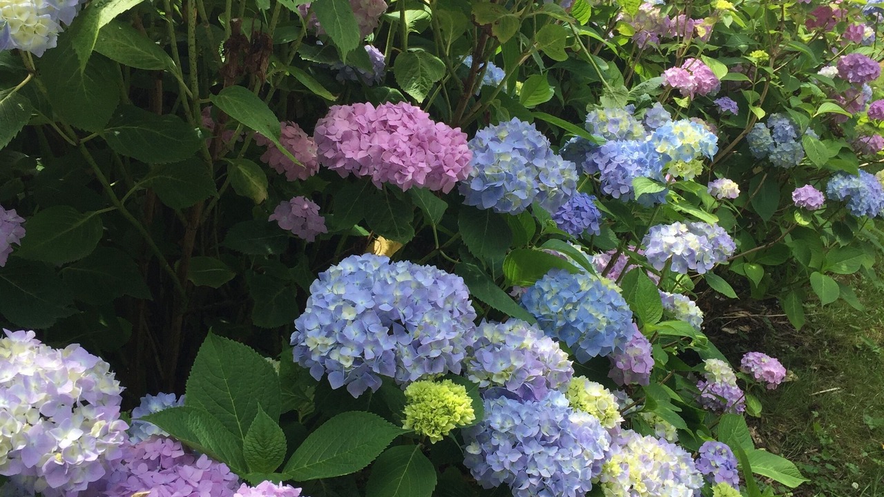 Photo of Outdoor in Foix