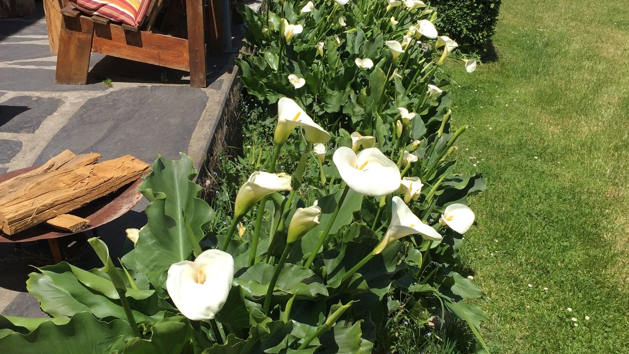 Photo of Outdoor in Foix