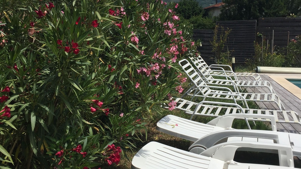 Photo of Outdoor in Foix