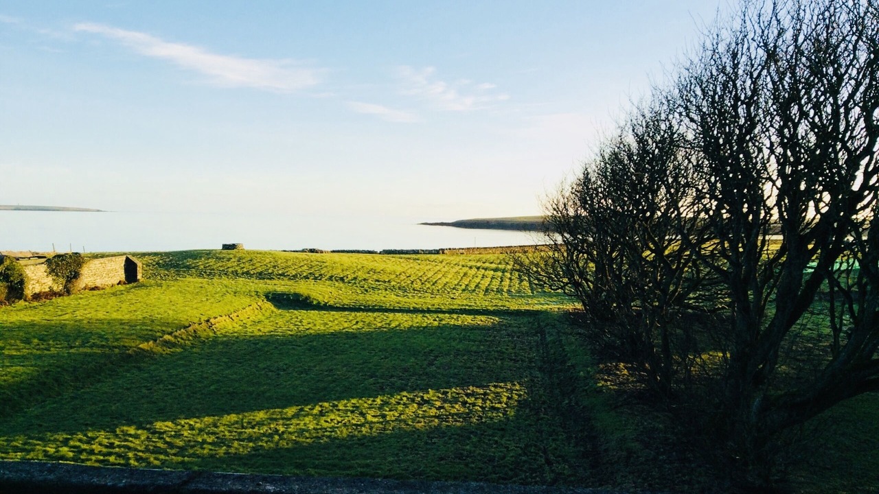 Photo of Others in Holm