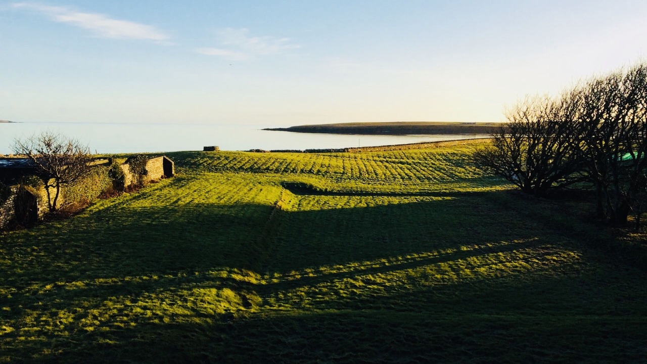 Photo of Others in Holm