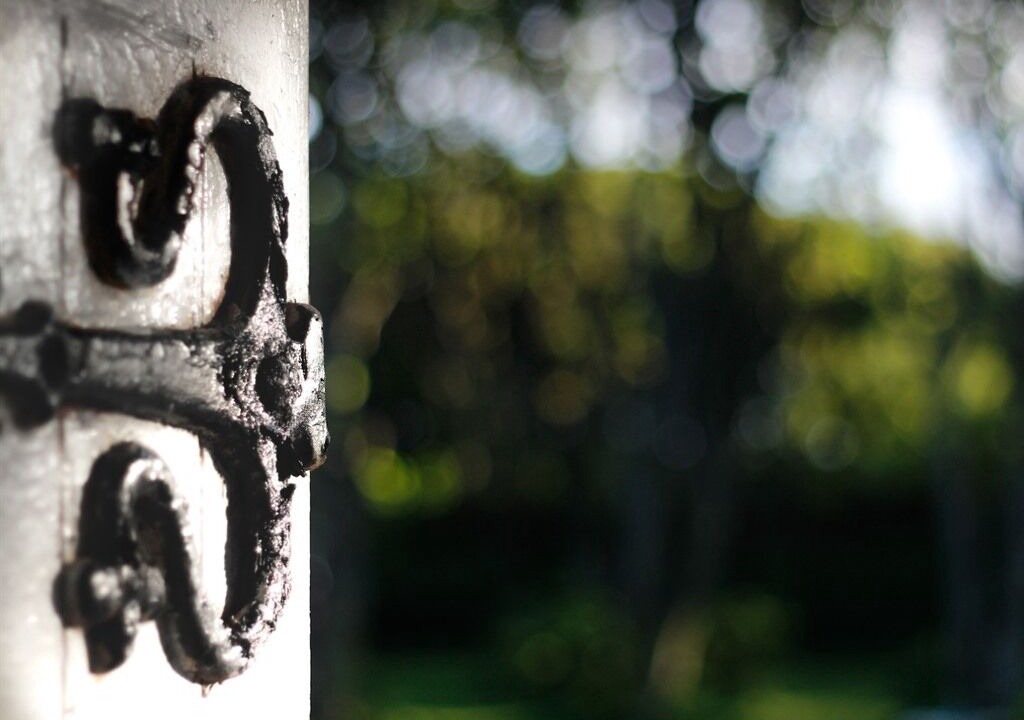 Photo of Others in Holm