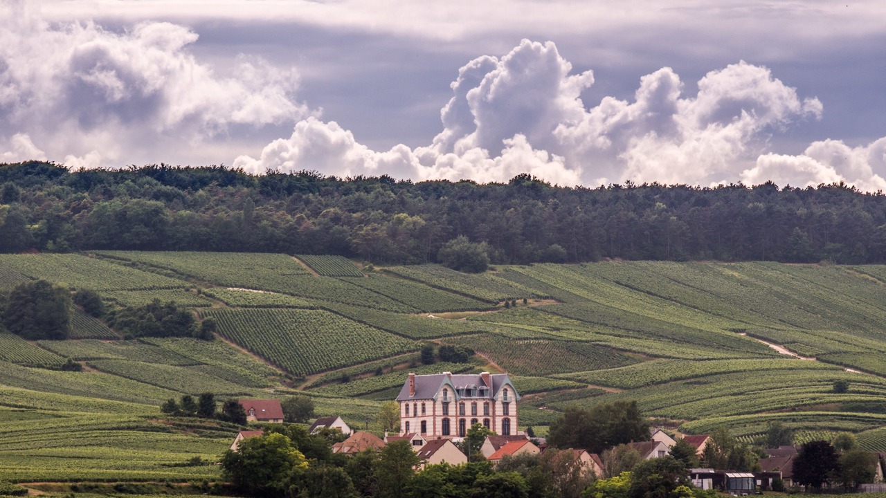 Photo of Outdoor in Sacy