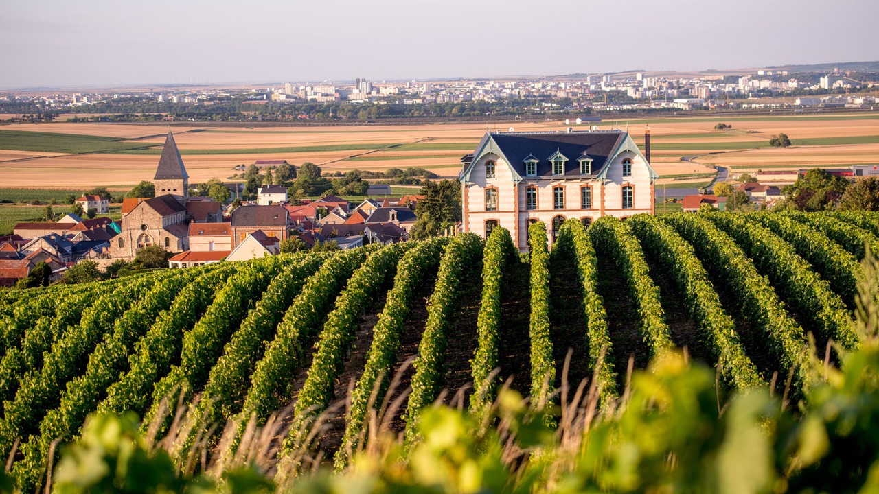 Photo of Outdoor in Sacy