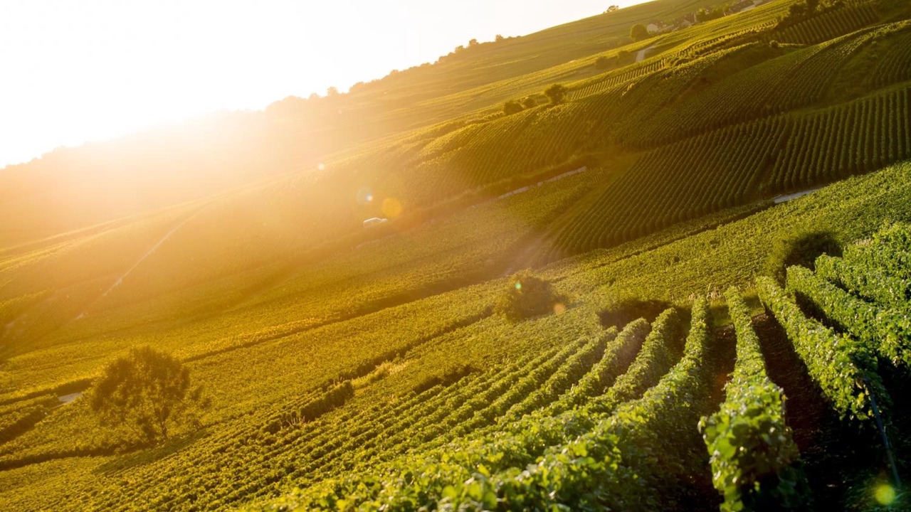 Photo of Outdoor in Sacy