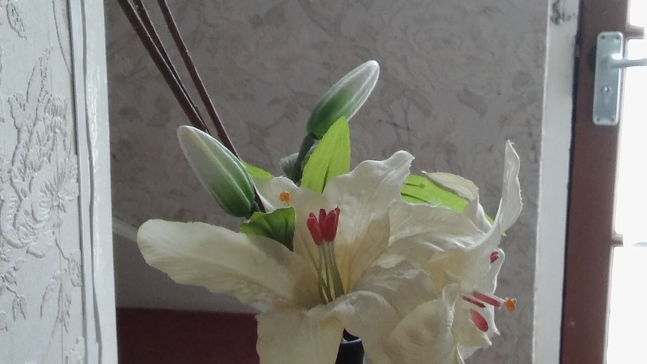 Photo of Others in Walsall