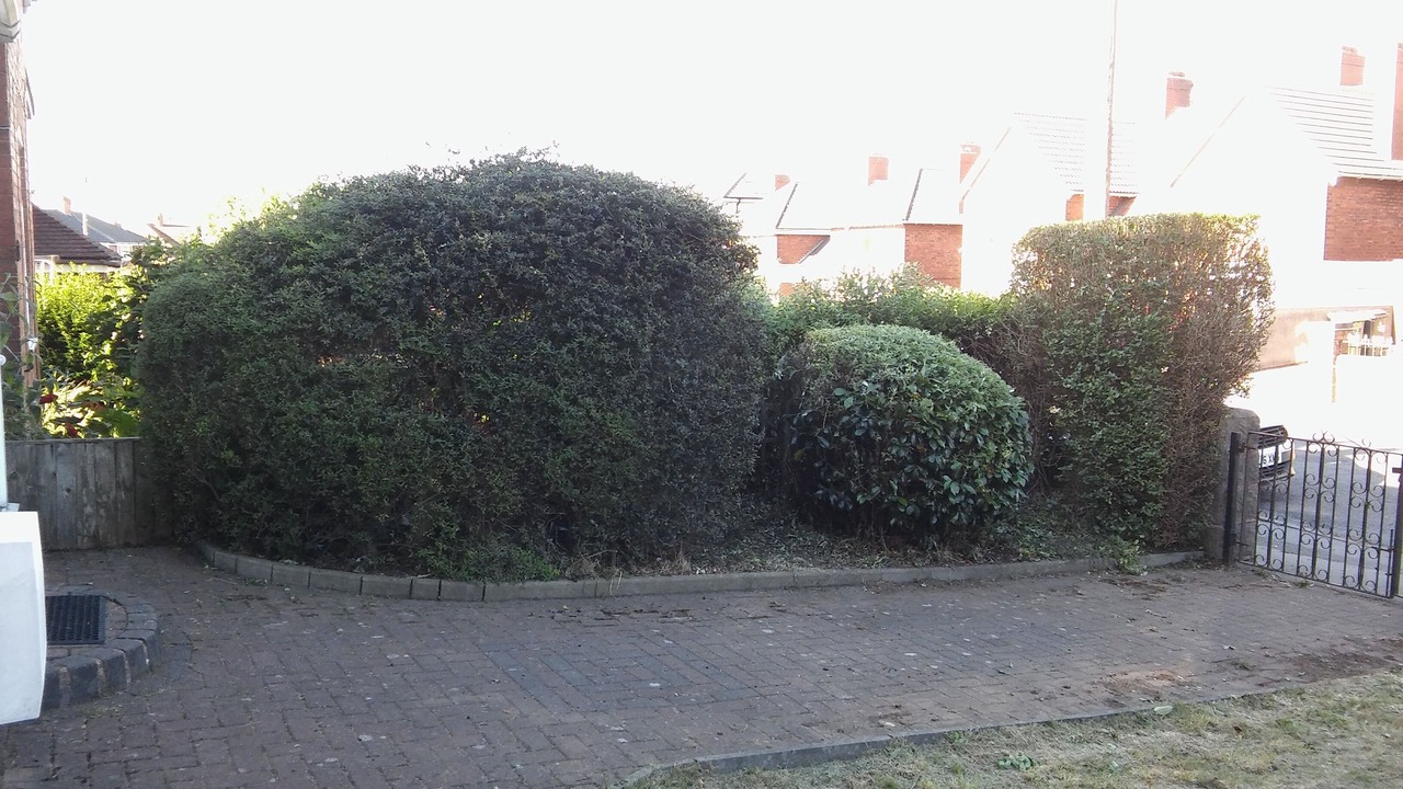 Photo of Outdoor in Walsall