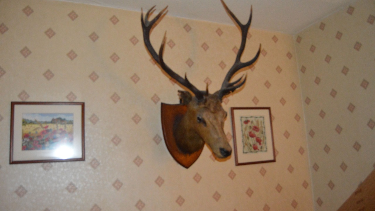 Photo of Others in Helmsdale