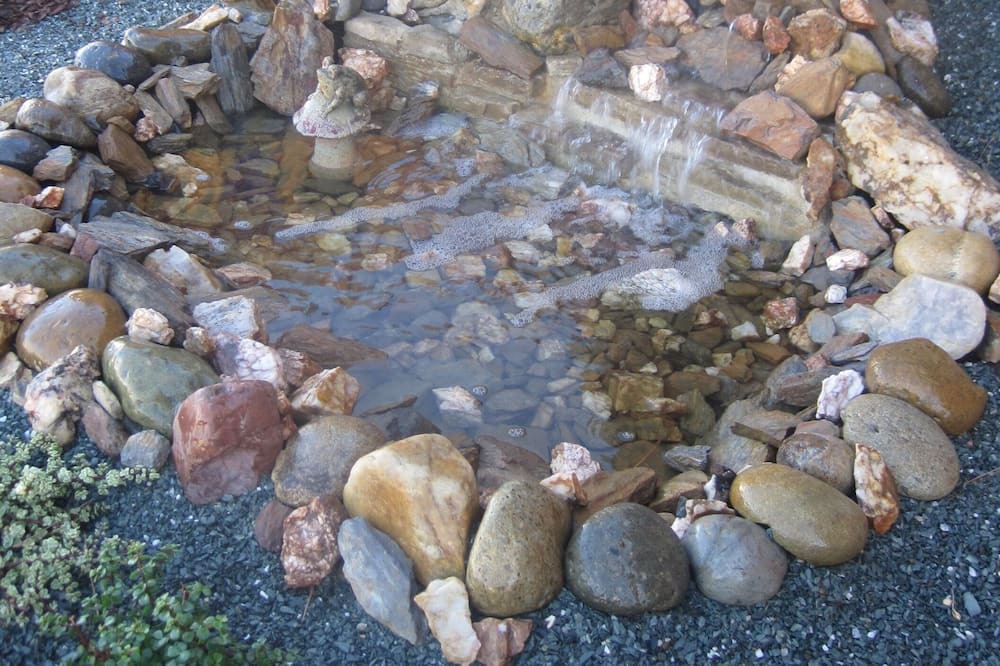 Photo of Others in Murphys