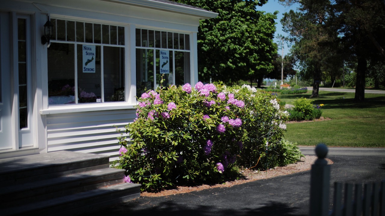 Photo of Outdoor in Bridgetown