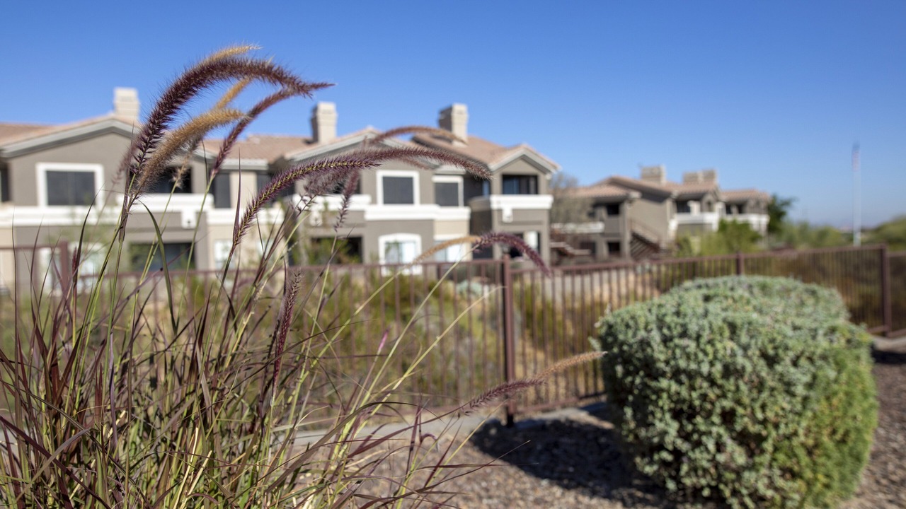 Photo of Outdoor in Ahwatukee Foothills