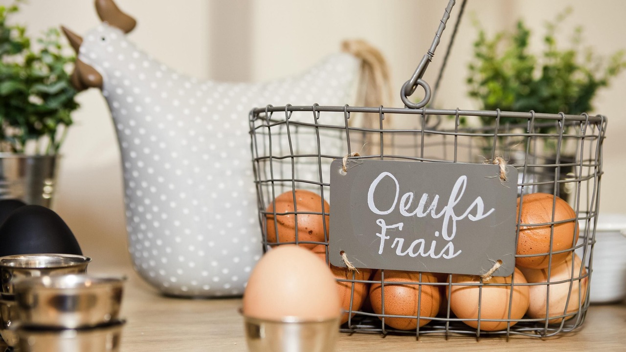 Photo of Others in Chalons-en-Champagne