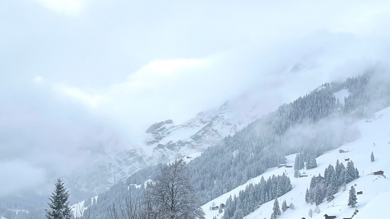 Photo of Bedroom in Adelboden