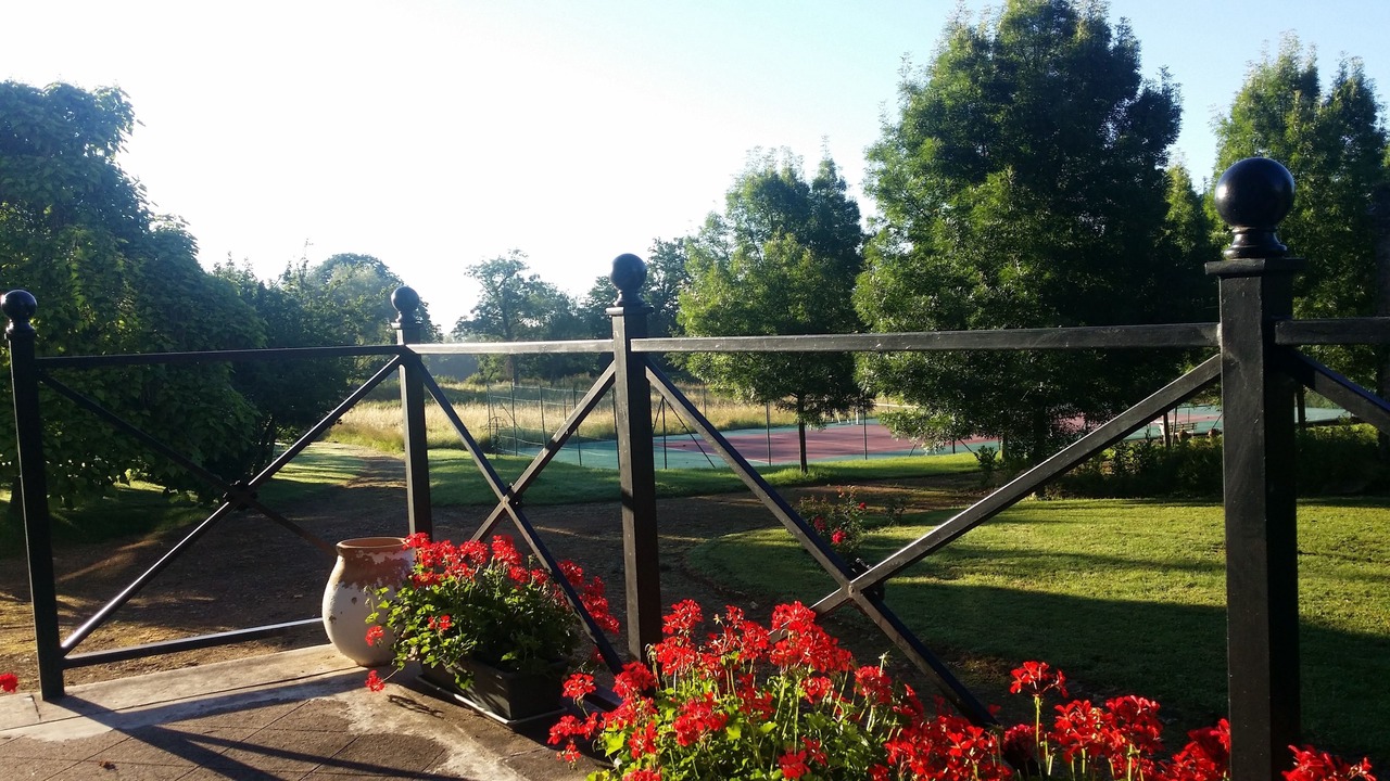 Photo of Others in Saint-Julien