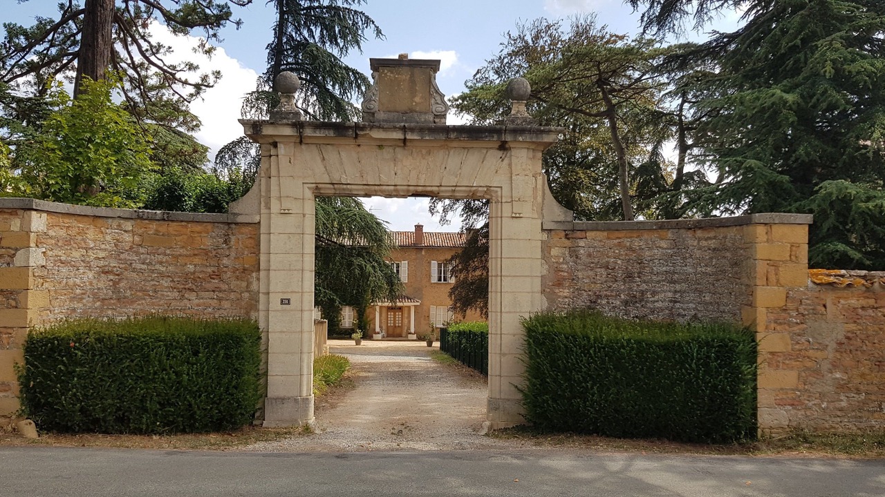 Photo of Others in Saint-Julien