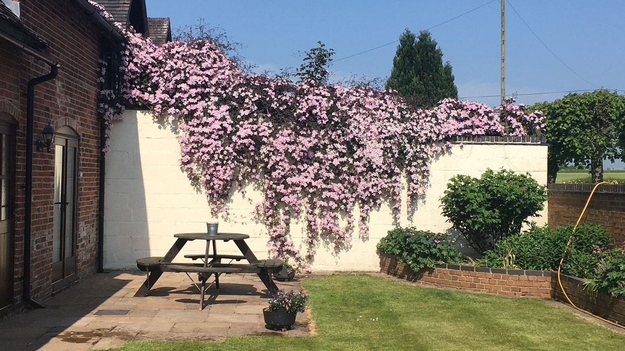Photo of Buildings in Rugeley