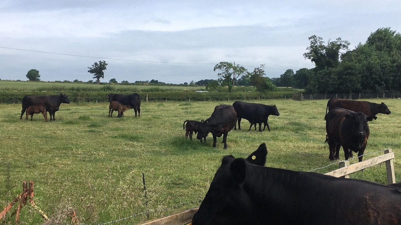 Photo of Outdoor in Rugeley