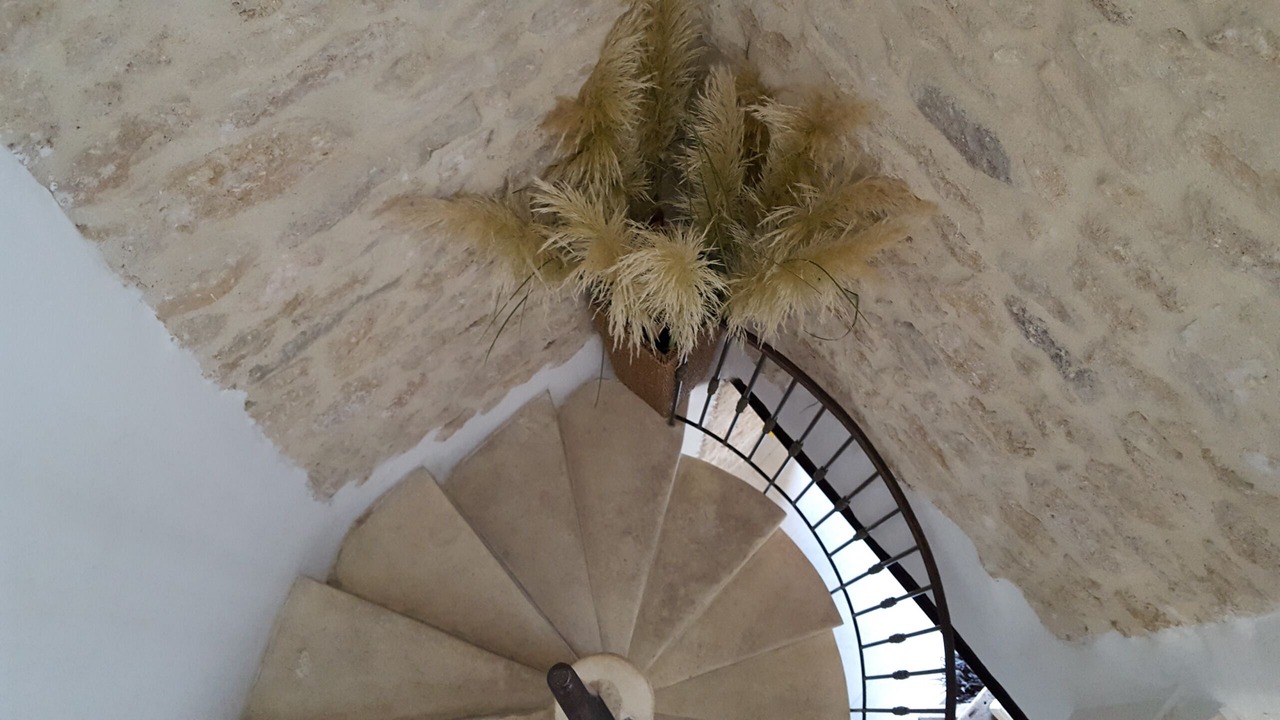 Photo of Others in Bonnieux