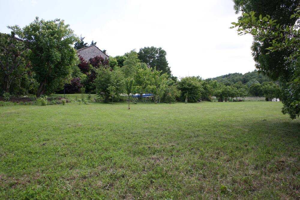 Photo of Outdoor in Gras