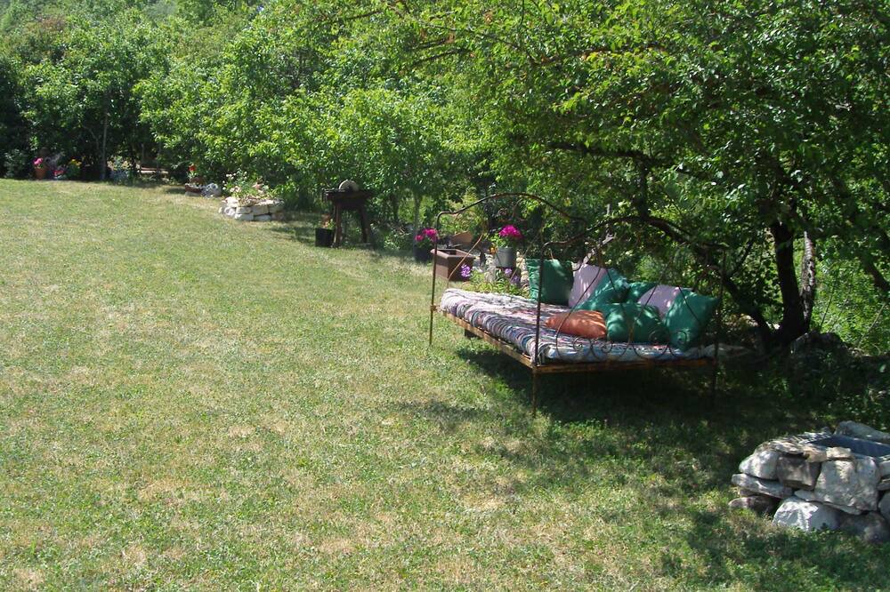 Photo of Outdoor in Gras
