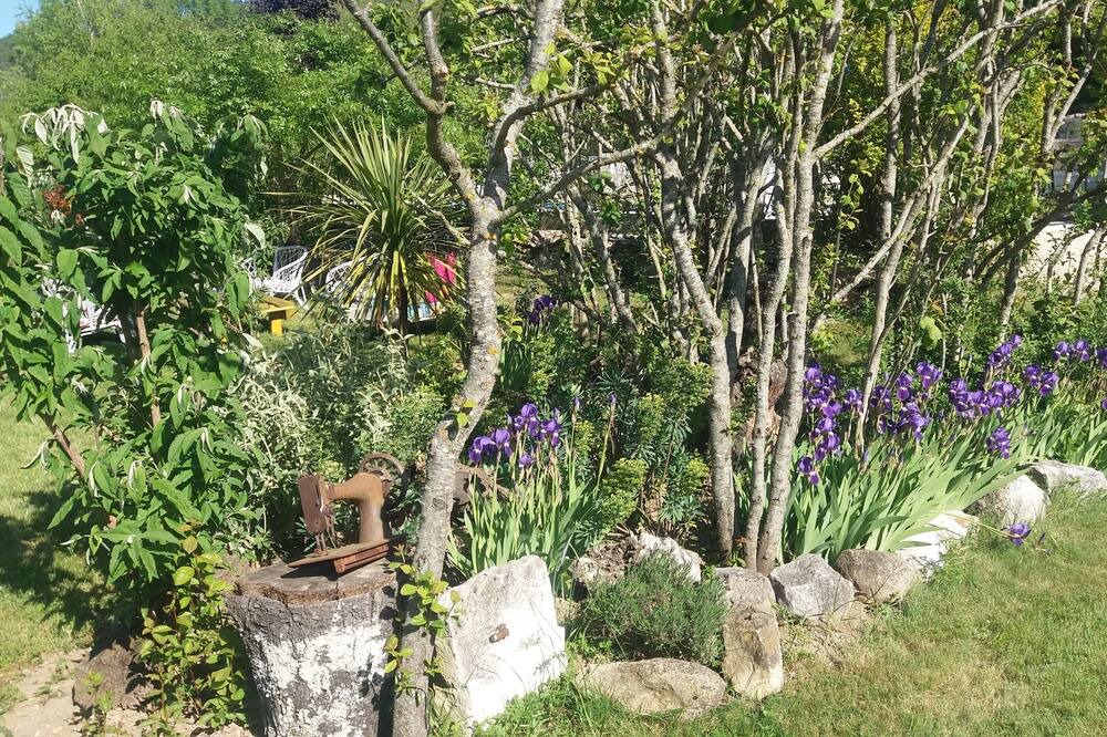 Photo of Outdoor in Gras