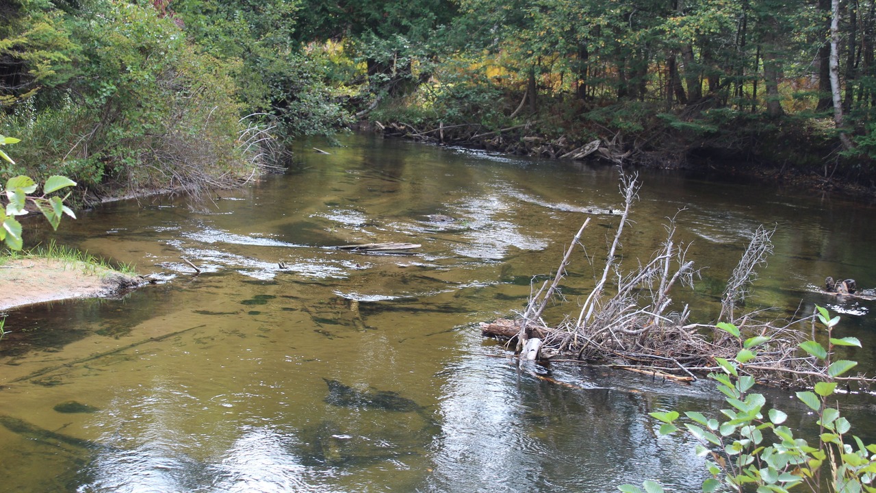 Photo of Outdoor in Brutus