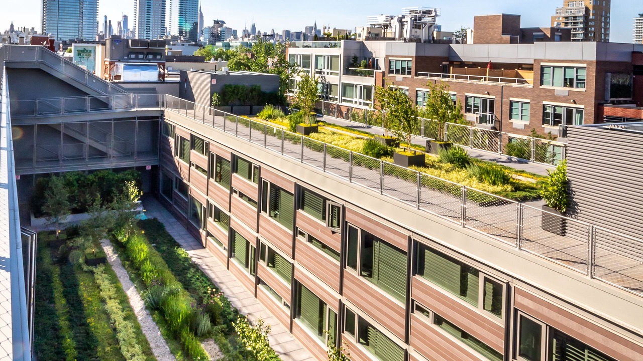 Photo of Others in Williamsburg