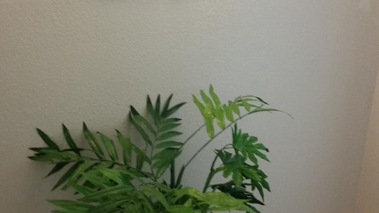 Photo of Others in West Davis Manor