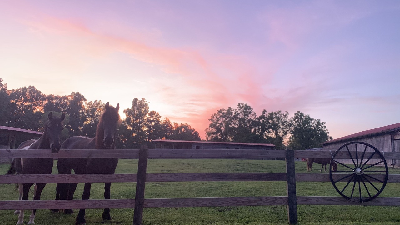 Photo of Outdoor in Jamestown