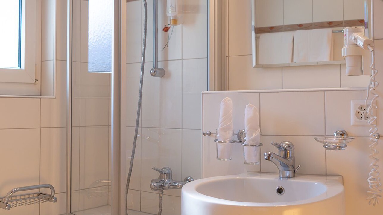 Photo of Bathroom in Engadin Scoul