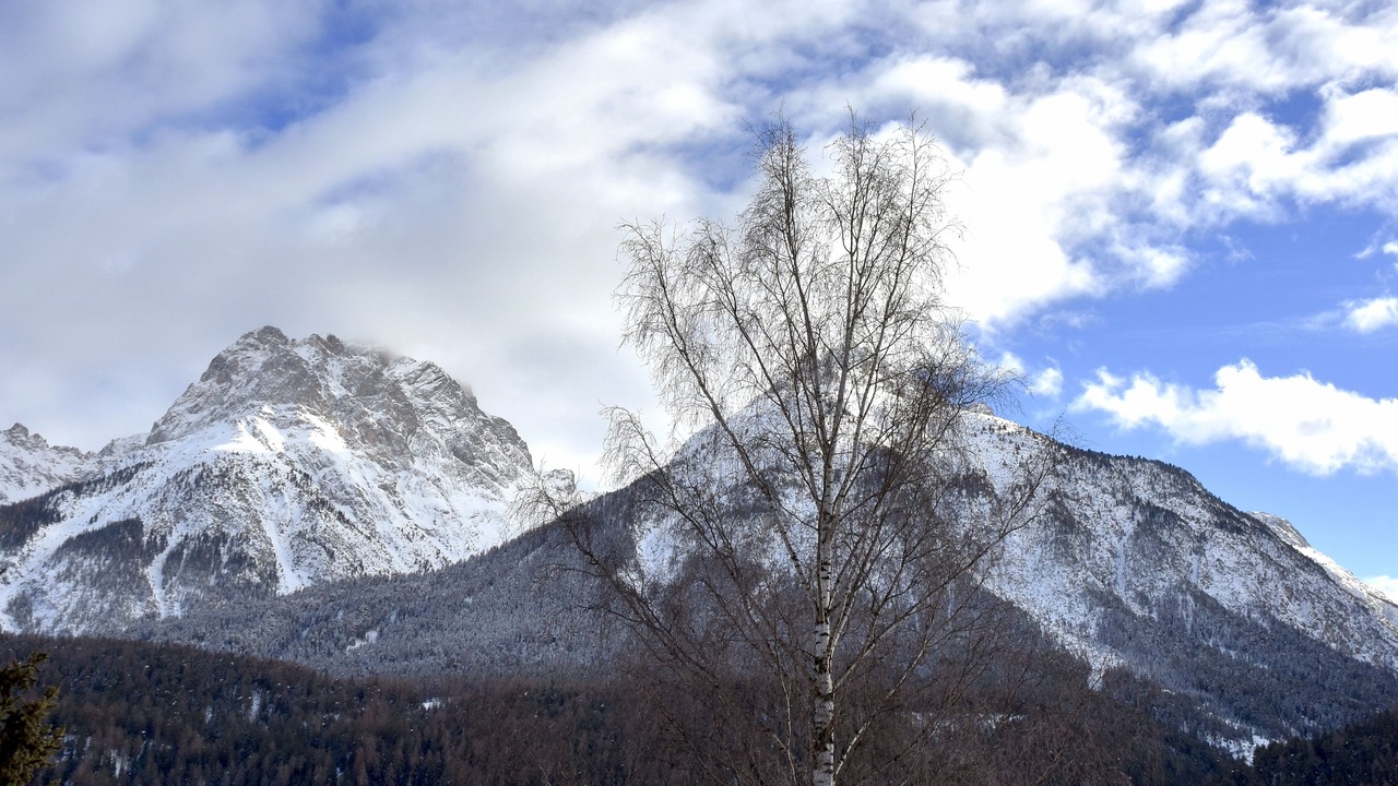 Photo of Others in Engadin Scoul