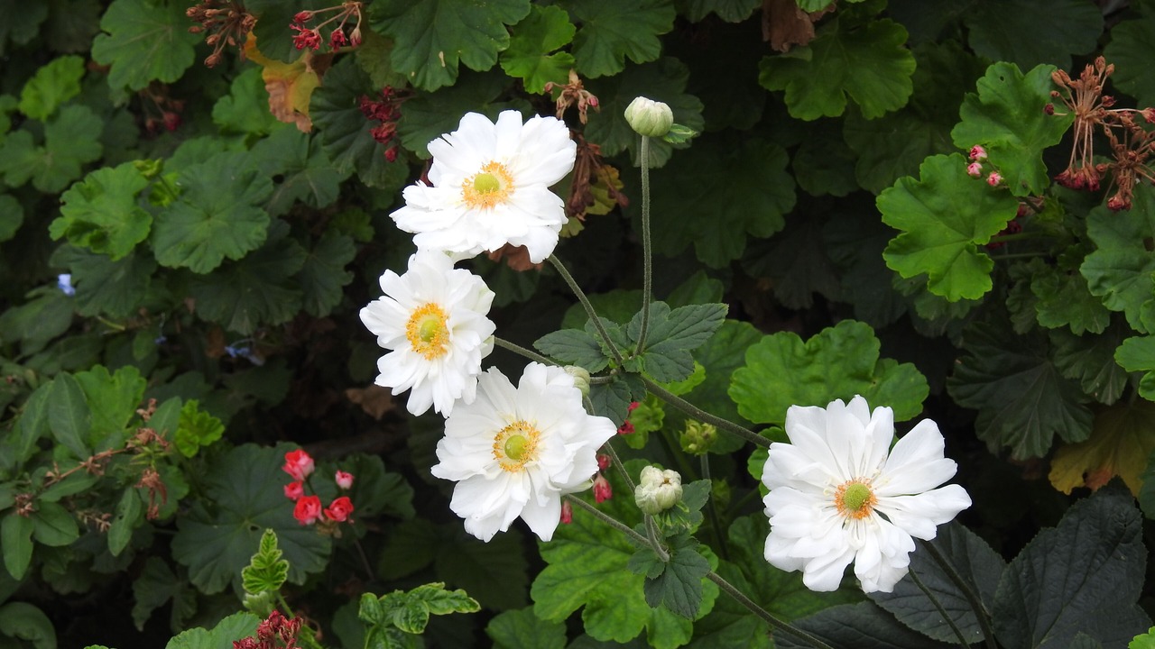 Photo of Outdoor in Rutherglen