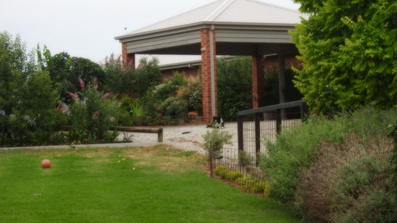 Photo of Outdoor in Rutherglen