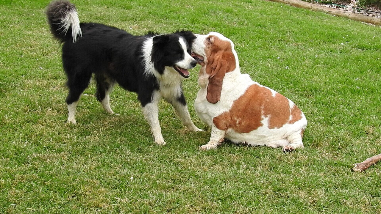 Photo of Others in Rutherglen