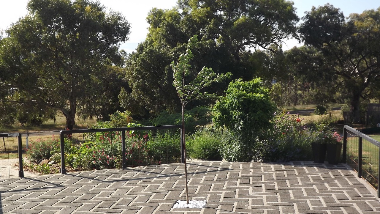 Photo of Others in Rutherglen