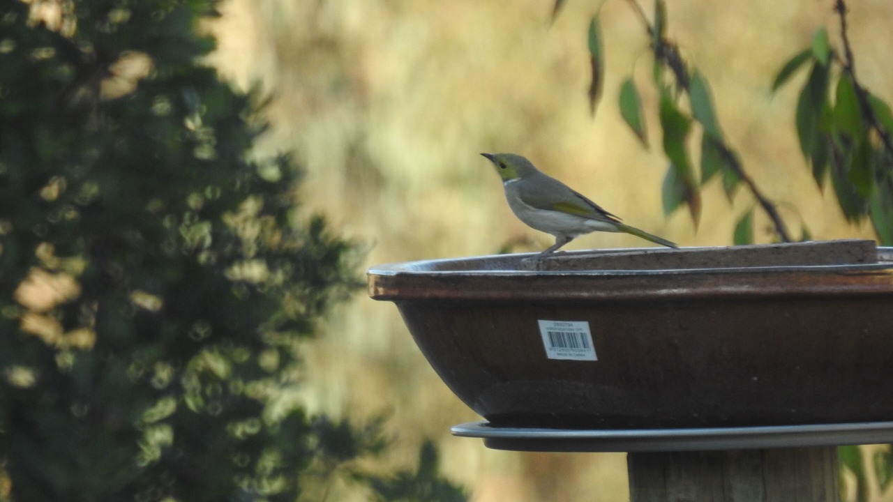Photo of Outdoor in Rutherglen